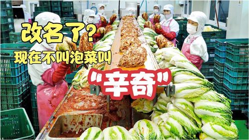 雨軒齋清真食品 堅守“辛奇”品質(zhì)，踐行HACCP最高衛(wèi)生標準